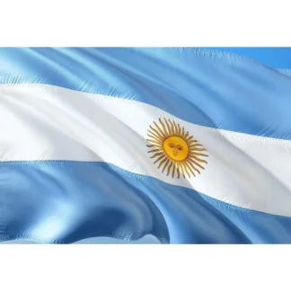BANDERA ARGENTINA C/SOL 30x48