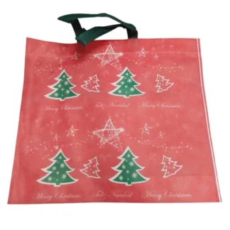 BOLSA FRISELINA FSIA 45x40x10